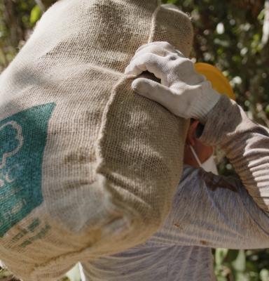 2021_FSC Brazil_Paiter Suruí indigenous people, who manage Brazil nuts_(c)FSC Brasil_Célio Cavalcante Filho 13